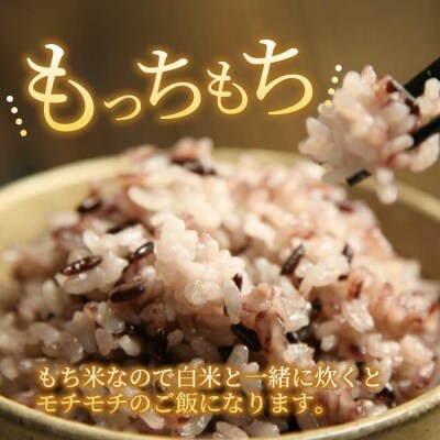 【安心!広島ブランド】広島県産 特別栽培 黒米 500g×1パック[227-002]
