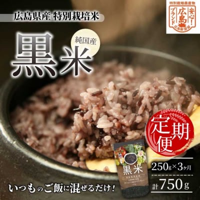 y3ցzLY ʍ͔|  250g×1pbN×3[227-003]