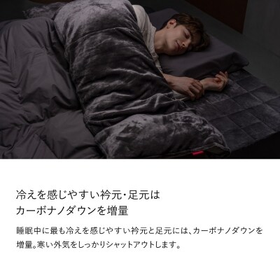 ブレインスリープ コンフォーターパーフェクトウォームEX シングル 掛け布団[219-001]