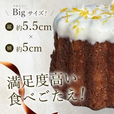 【Bistro gascogne】cannele(カヌレ)4種16個入り [229-001]
