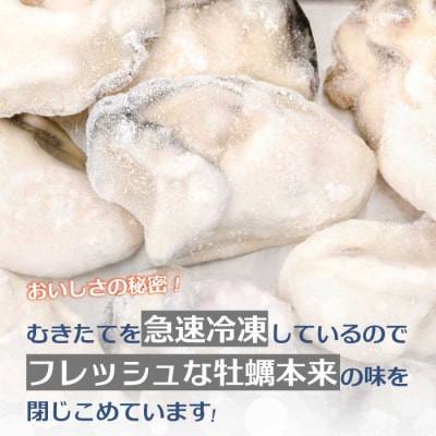 広島特産 広島産かき 2L 加熱用 1kg(内容量850g)×2袋 [022-003]