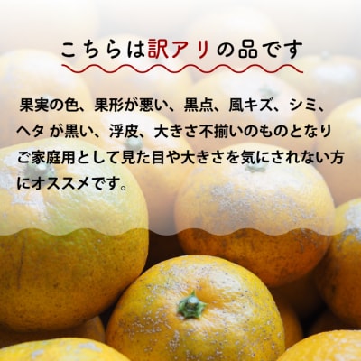 【おくはち農園】〈訳あり〉紅八朔 5kg 《2026年2～3月発送予定》 [166-006]