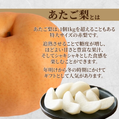 【久和田農園】 あたご梨 2kg [034-009]