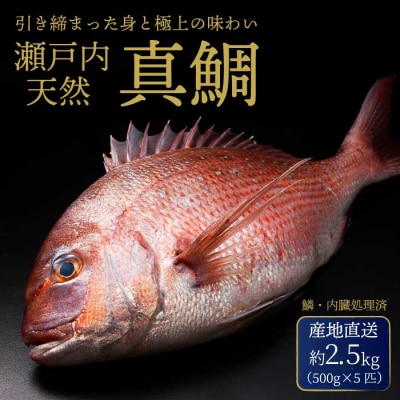 瀬戸内産 天然鯛 約2.5kg(500g×5匹/鱗・内臓処理)[154-006]