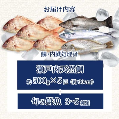 瀬戸内産 天然鯛 約2.5kg(500g×5匹/鱗・内臓処理)・鮮魚3～5種 [154-008]