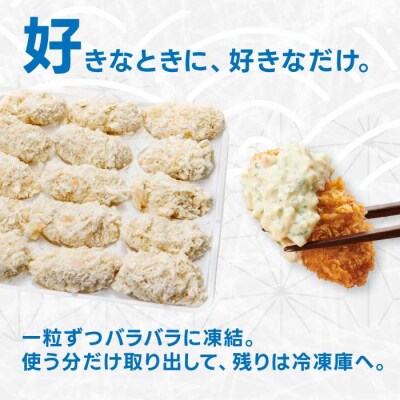 広島県産かき使用!ご馳走かきフライ 500g(20粒)[022-010]