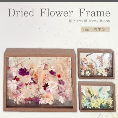 【ARI+】ドライフラワーフレーム D おまかせ [226-004]