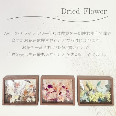 【ARI+】ドライフラワーフレーム D おまかせ [226-004]
