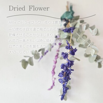 【ARI+】季節のドライフラワースワッグ [226-005]
