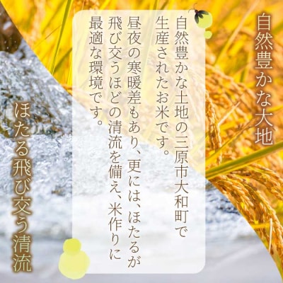 無菌包装米飯 ほたるの里 広島こしひかり 6食 3個パック(200g×3)×2袋 [066-014]