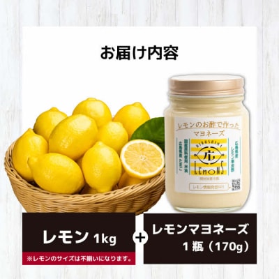 “レモンのお酢で作った”レモンマヨネーズ 1本&“不揃い”レモン生果 1kgセット[115-004]