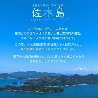 【熊谷喜八監修】 鷺島みかんじまジャム 3本セット(140g×3個)[017-035]