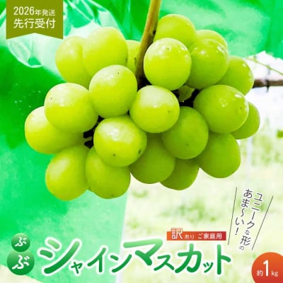 《2026年夏頃発送・先行受付》 訳あり ぶぶシャインマスカット 1kg [233-001]