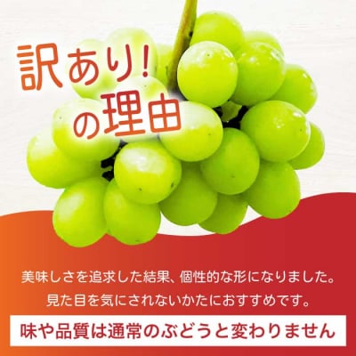 《2026年夏頃発送・先行受付》 訳あり ぶぶシャインマスカット 1kg [233-001]