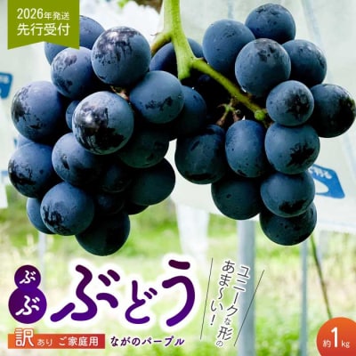 《2026年夏頃発送・先行受付》 訳あり ぶぶナガノパープル 1kg [233-002]