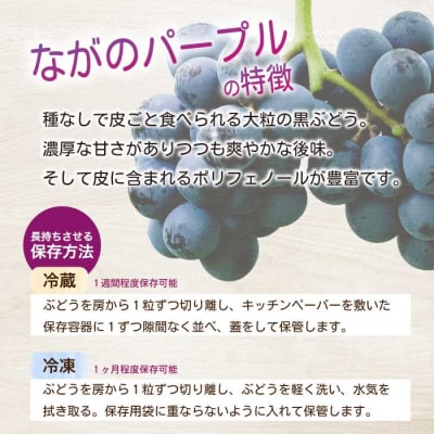 《2026年夏頃発送・先行受付》 訳あり ぶぶナガノパープル 1kg [233-002]