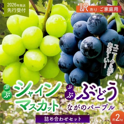 《2026年夏頃発送・先行受付》訳あり ぶぶぶどう詰め合わせ2kg [233-003]