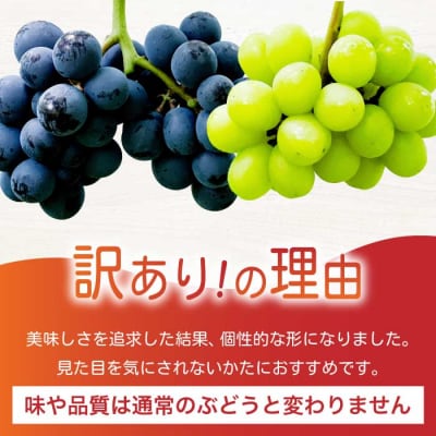 《2026年夏頃発送・先行受付》訳あり ぶぶぶどう詰め合わせ2kg [233-003]