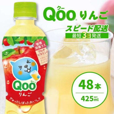 ミニッツメイド クー りんご PET 425ml 48本(2ケース) [014-103]