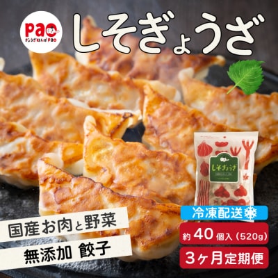 【3か月定期便】paoの無添加餃子「しそぎょうざ」520g(約40個) [058-018]