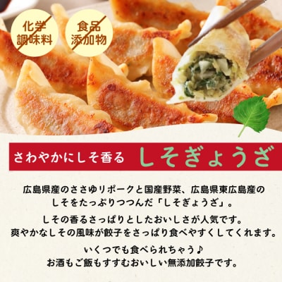 【3か月定期便】paoの無添加餃子「しそぎょうざ」520g(約40個) [058-018]