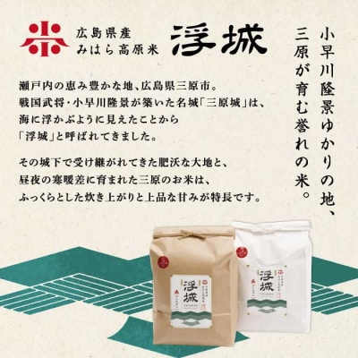 【先行受付・令和8年新米】《6か月定期便》みはら高原米 浮城 きぬひかり玄米3kg[220-118]