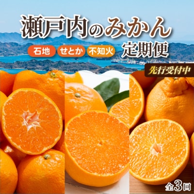 【数量限定☆先行受付】柑橘食べ比べ定期便 石地みかん・せとか 各2.5kg 不知火 2kg[T09]
