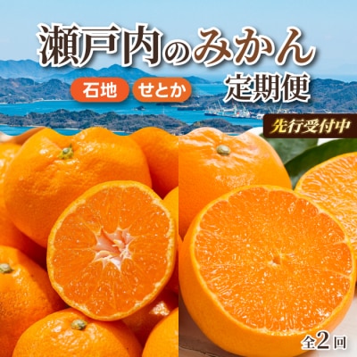 【数量限定☆先行受付】柑橘食べ比べ定期便(石地みかん・せとか) 各2.5kg [T10]