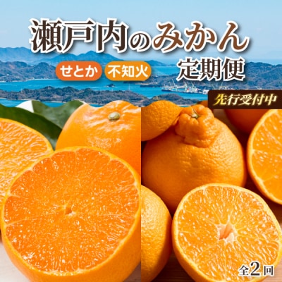 【数量限定☆先行受付】柑橘食べ比べ定期便 せとか 2.5kg・不知火 2kg  [T11]