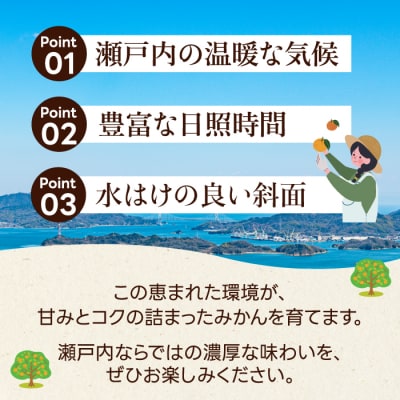 【数量限定☆先行受付】柑橘食べ比べ定期便 せとか 2.5kg・不知火 2kg  [T11]