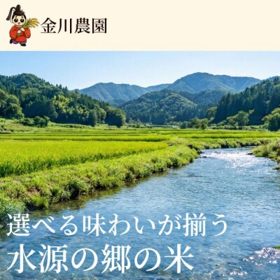 つきあかり 10kg 精米 [238-014]