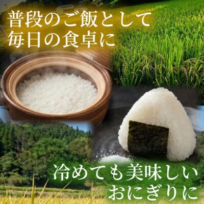つきあかり 10kg 精米 [238-014]