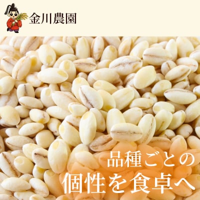 【先行受付】裸麦のキラリモチ 1kg 2026年7月以降発送予定 [238-016]