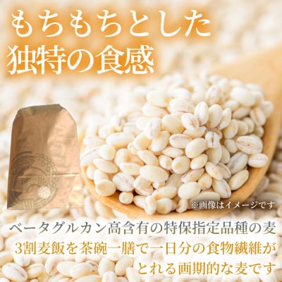 【先行受付】裸麦のキラリモチ 1kg 2026年7月以降発送予定 [238-016]