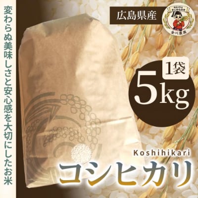 コシヒカリ 5kg 精米 [238-010]
