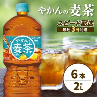 やかんの麦茶 from 爽健美茶 PET 2L×6本(1ケース) [014-066]