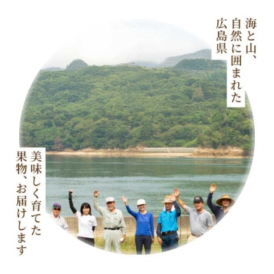 【三原・世羅共通返礼品】桃 シャインマスカット 不知火《3回定期便》数量限定☆先行受付 [T12]