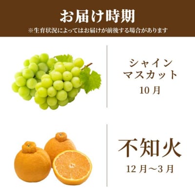 【三原・世羅共通返礼品】シャインマスカット 不知火《2回定期便》数量限定☆先行受付 [T13]