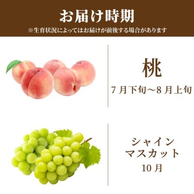 【三原・世羅共通返礼品】桃 シャインマスカット《2回定期便》数量限定☆先行受付 [T14]