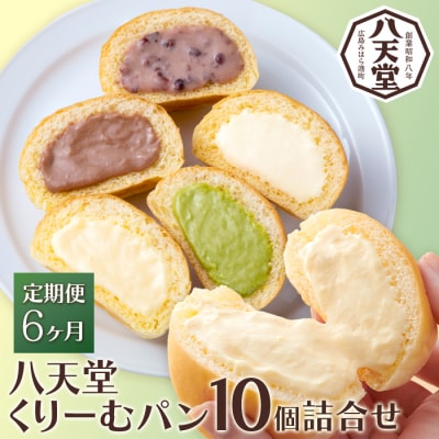 【6か月定期便】【八天堂】とろけるくりーむパン 10個詰合せ (5種×2個)  [015-065]