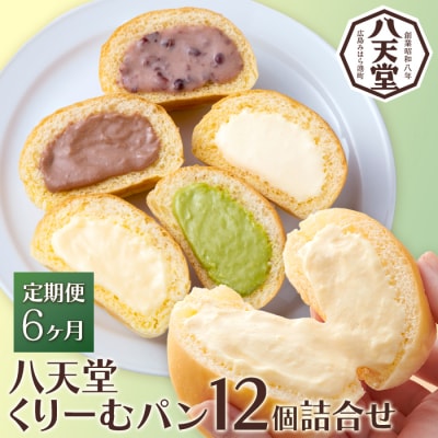 【6か月定期便】【八天堂】とろけるくりーむパン 12個詰合せ (全5種) [015-066]