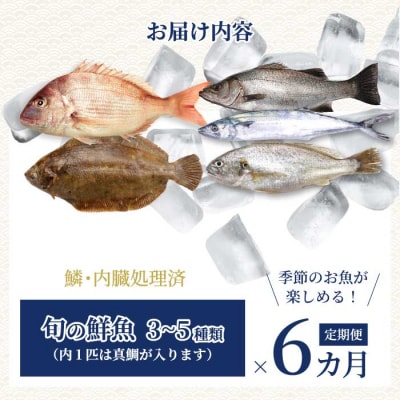 【6か月定期便】瀬戸内産 鮮魚 地魚詰め合わせ(3～5種類)計6回お届け [154-010]