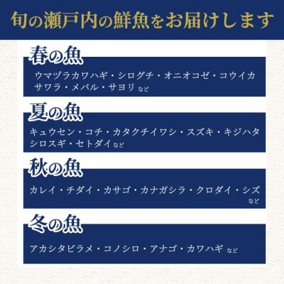 【6か月定期便】瀬戸内産 鮮魚 地魚詰め合わせ(3～5種類)計6回お届け [154-010]