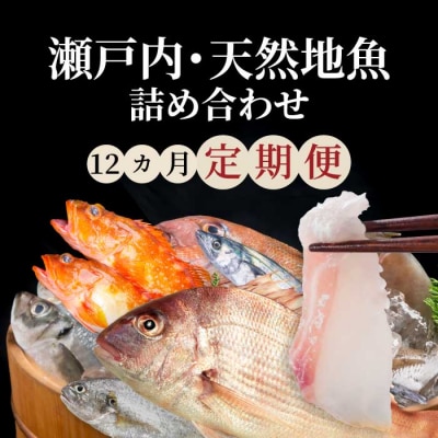 【12か月定期便】瀬戸内産 鮮魚 地魚詰め合わせ(3～5種類)計12回お届け [154-011]