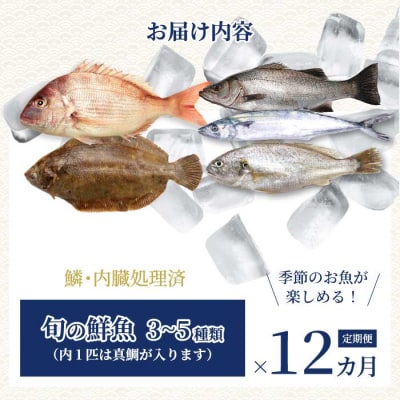 【12か月定期便】瀬戸内産 鮮魚 地魚詰め合わせ(3～5種類)計12回お届け [154-011]