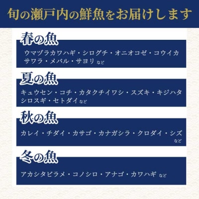 【12か月定期便】瀬戸内産 鮮魚 地魚詰め合わせ(3～5種類)計12回お届け [154-011]