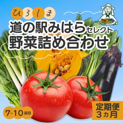 【3か月定期便】道の駅セレクト 旬野菜つめあわせ  [043-041]