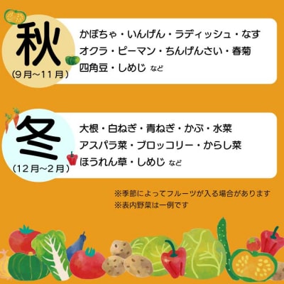 【6か月定期便】道の駅セレクト 旬野菜つめあわせ [043-042]