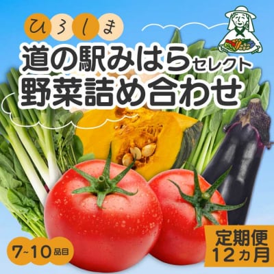 【12か月定期便】道の駅セレクト 旬野菜つめあわせ [043-043]