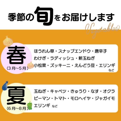 【12か月定期便】道の駅セレクト 旬野菜つめあわせ [043-043]